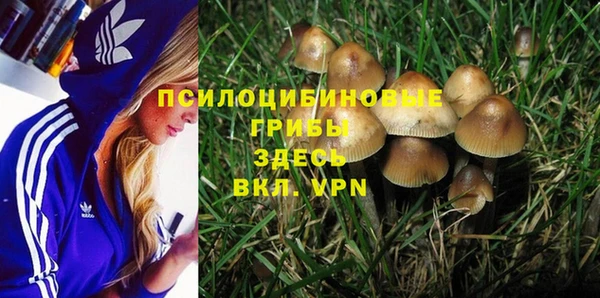 дурь Алзамай