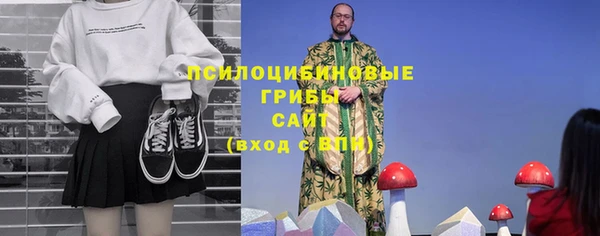 дурь Алзамай