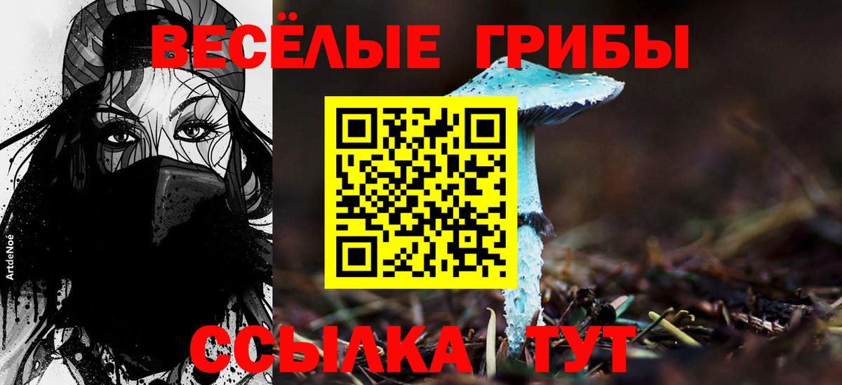 Псилоцибиновые грибы прущие грибы Беслан